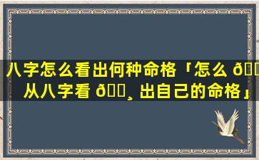 八字怎么看出何种命格「怎么 🐼 从八字看 🌸 出自己的命格」